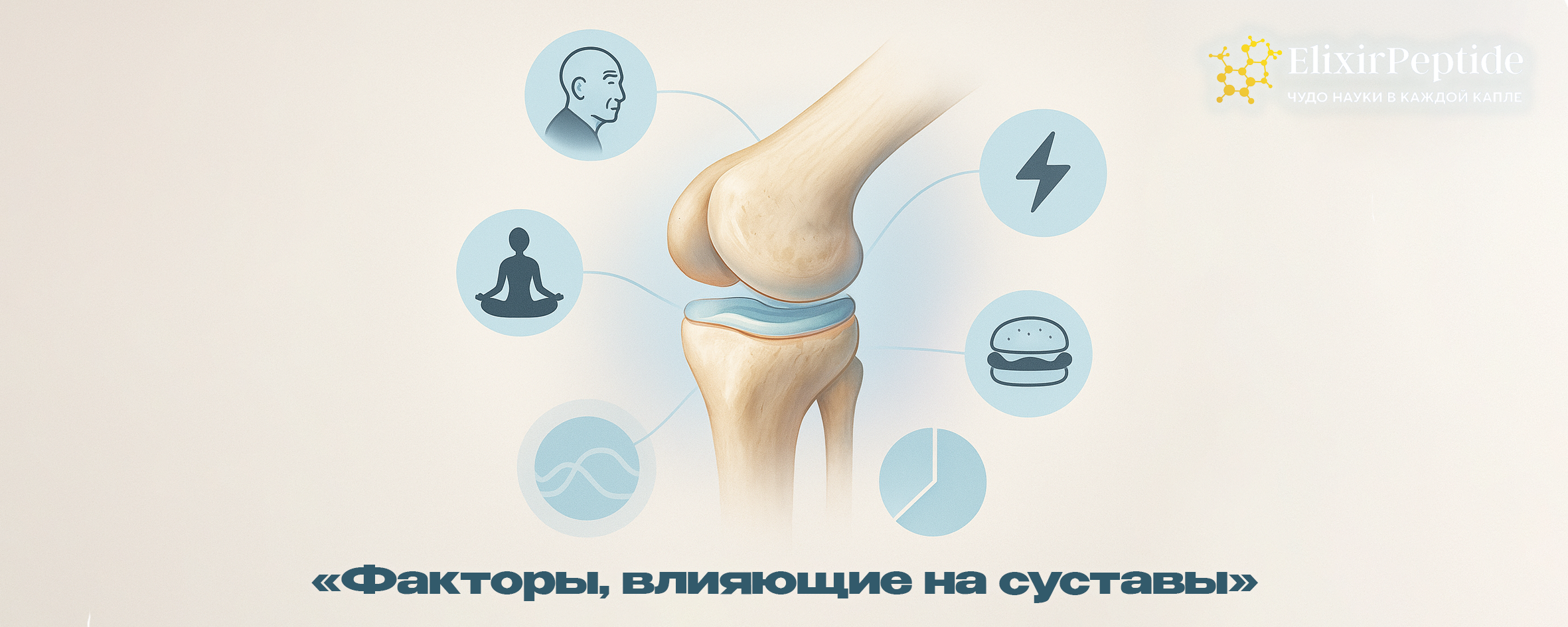 Факторы, влияющие на суставы